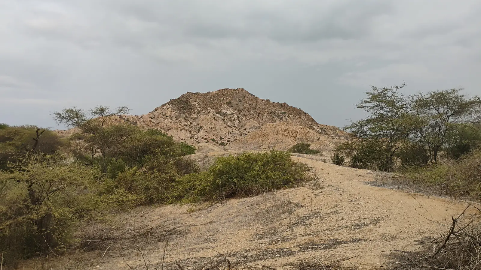 Un sendero de arena entre la maleza seca hacia los montículos erosionados de Túcume